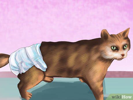 kitten leaking urine|How to Treat Urinary Incontinence in Cats: 11 Steps